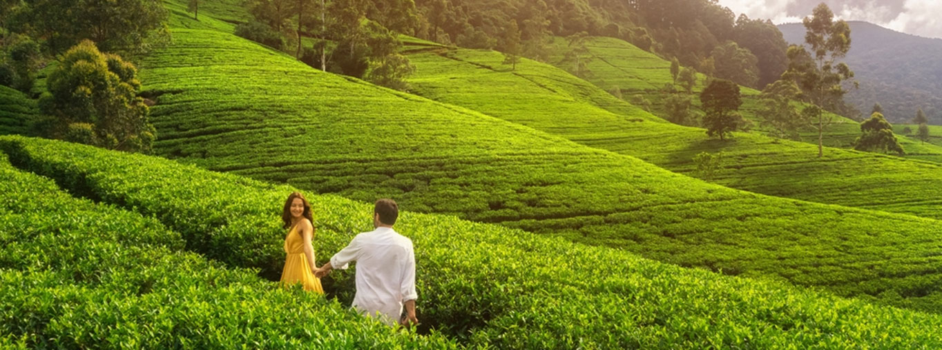 Sri Lanka Honeymoon Package